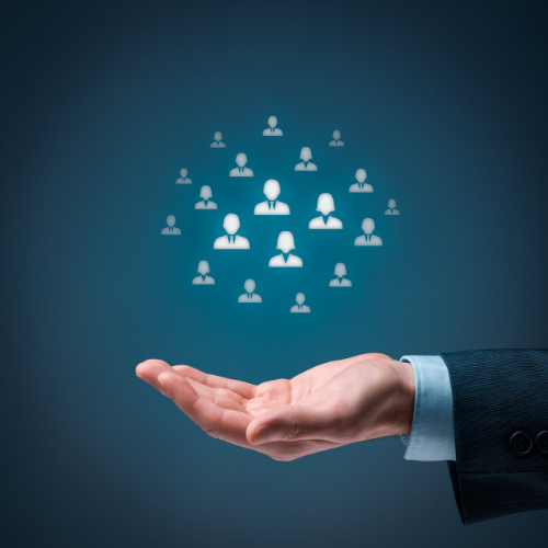 D2C Management